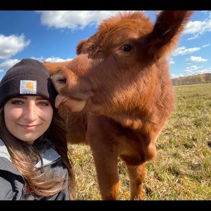 Meet your Posher, Rachel